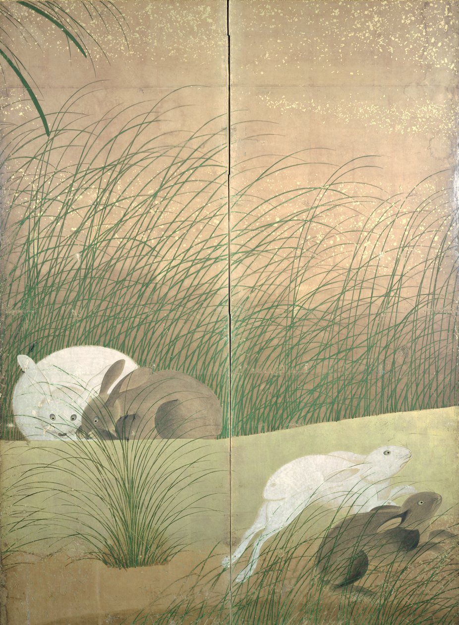 الأرانب والأعشاب الخريف ، c.1700 (الحبر واللون والذهب على الورق) بواسطة المدرسة اليابانية