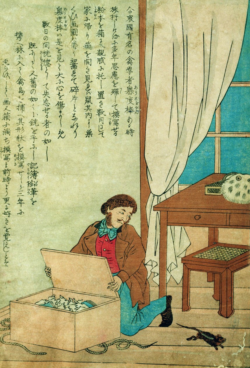 اكتشف JJ Audubon (1785-1851) في رحلة إلى اليابان فأرًا ، c.1840 بواسطة المدرسة اليابانية