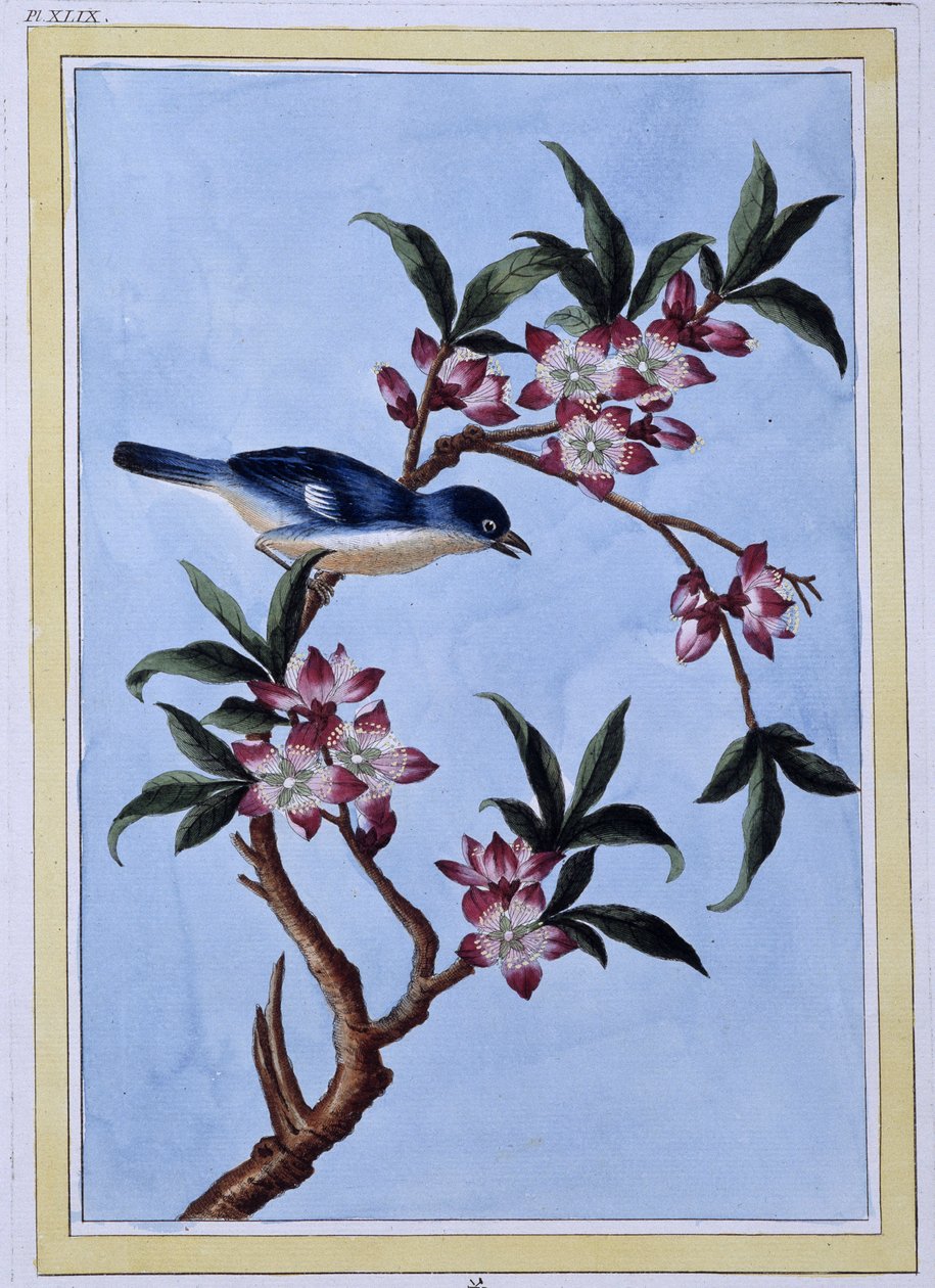 Bird - Japanese print بواسطة المدرسة اليابانية