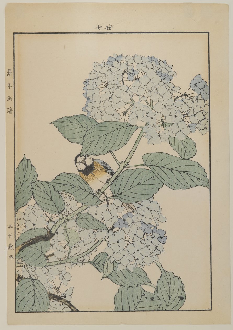 طائر مع كوبية ، فترة ميجي ، c.1868-1912 (طبعة خشبية ملونة) بواسطة المدرسة اليابانية
