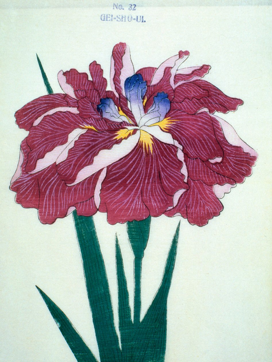 Gei-Sho-Ui ، رقم 32 ، 1898 بواسطة المدرسة اليابانية