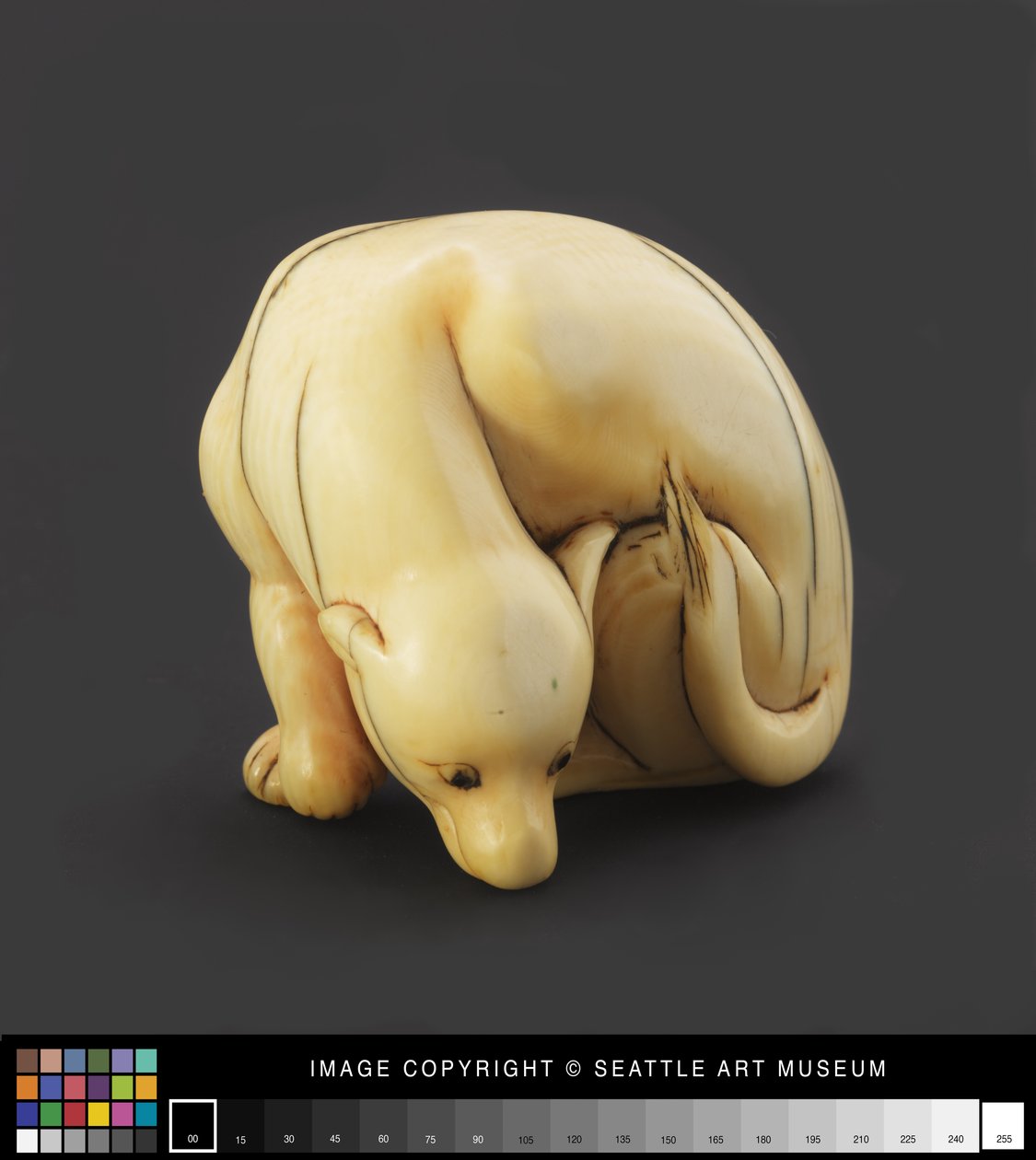 تم تصميم Netsuke على شكل كلب مستلق ، أوائل القرن التاسع عشر (العاج) بواسطة المدرسة اليابانية