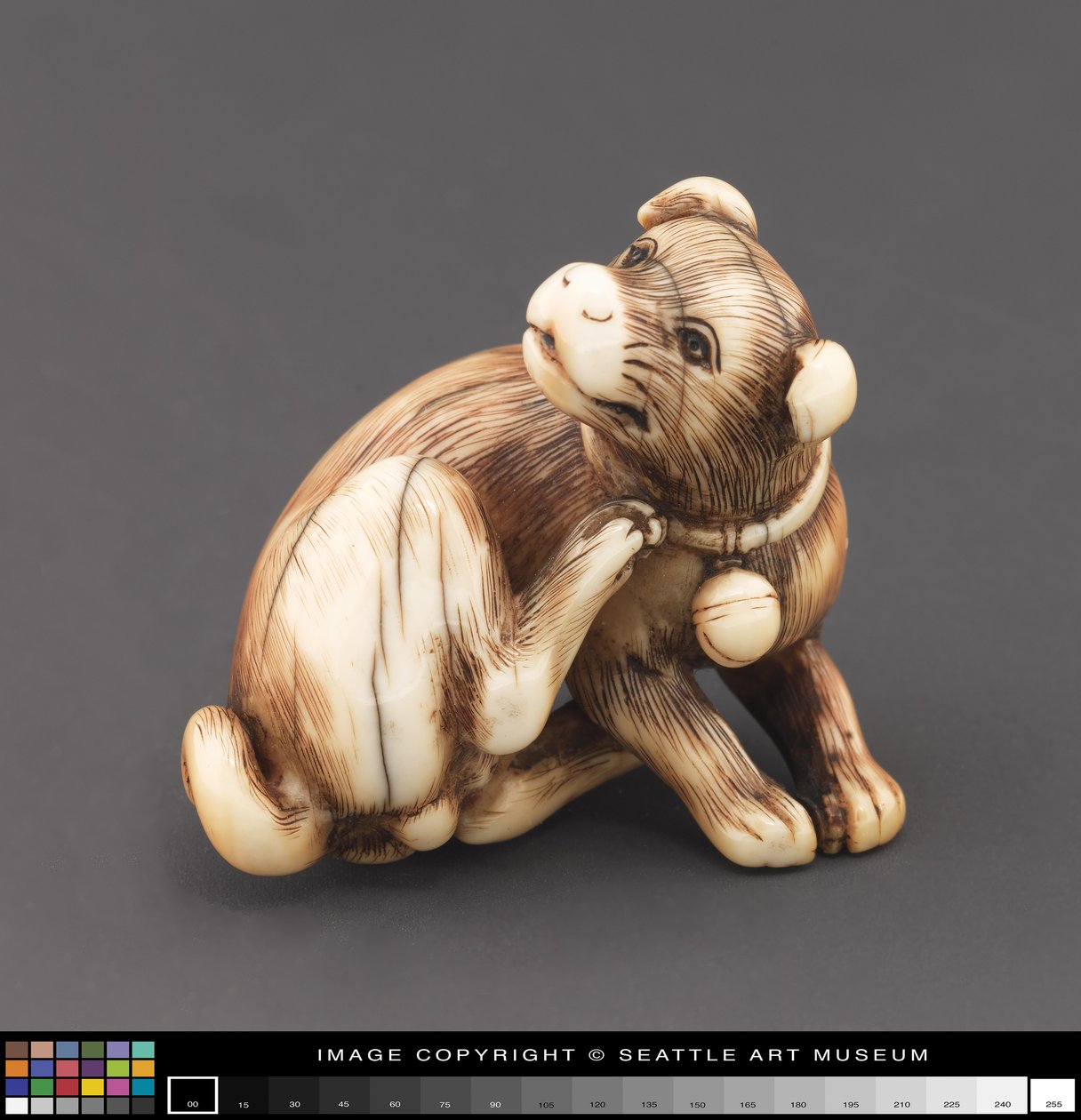 تم تصميم Netsuke على شكل كلب يخدش رقبته بواسطة المدرسة اليابانية