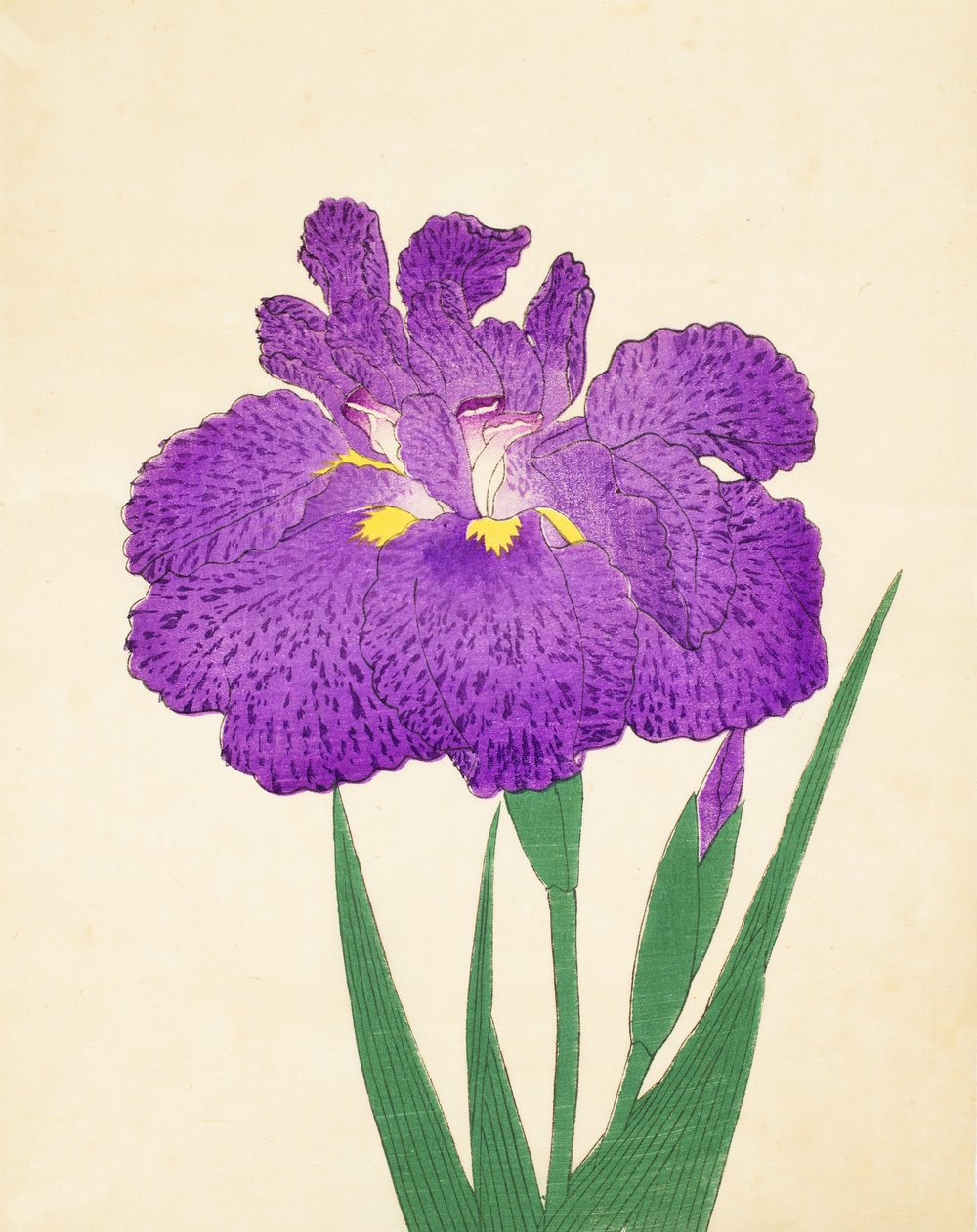 Nyo-Nishiki ، رقم 11 ، 1898 بواسطة المدرسة اليابانية