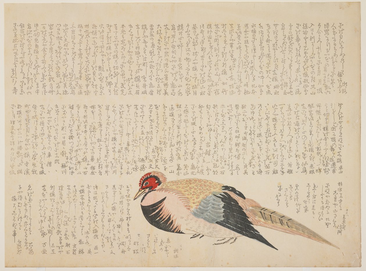 الدراج ، c.1818-29 (طباعة كتلة خشبية ملونة) بواسطة المدرسة اليابانية