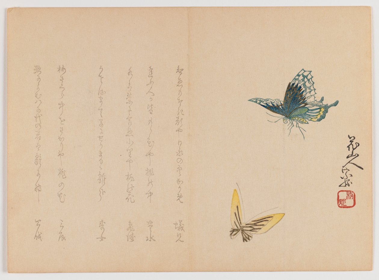 اثنان من الفراشات ، c.1860 (طباعة لوح خشبي ، تنسيق Chûban yoko-e الأفقي) بواسطة المدرسة اليابانية