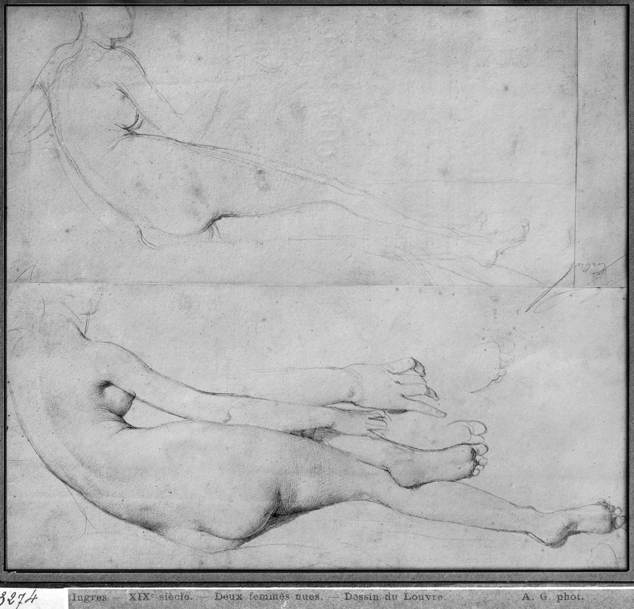 دراسات عن The Grande Odalisque (الجرافيت على الورق) (انظر أيضًا 233243) بواسطة جان أوغست دومينيك إنجرس