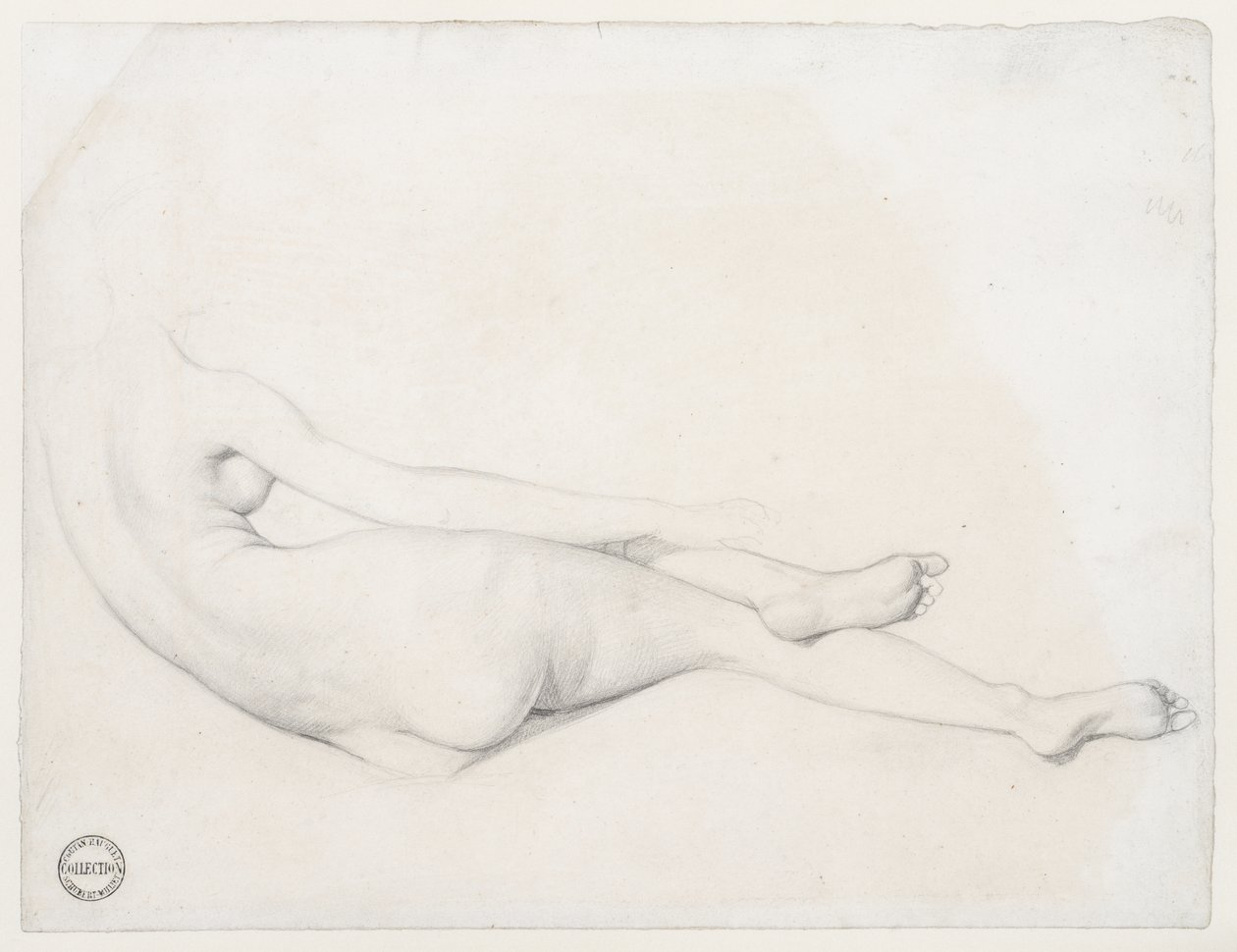 دراسة عن La Grande Odalisque ، 1814 (الجرافيت على ورق منسوج) بواسطة جان أوغست دومينيك إنجرس