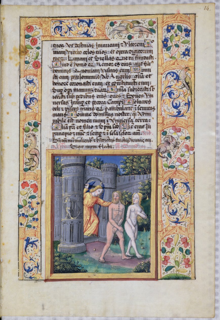 السيدة لات. QvI126 fol.14 الطرد من حديقة عدن ، من "كتاب ساعات لويس دورليانز" ، 1490 بواسطة جان كولوم