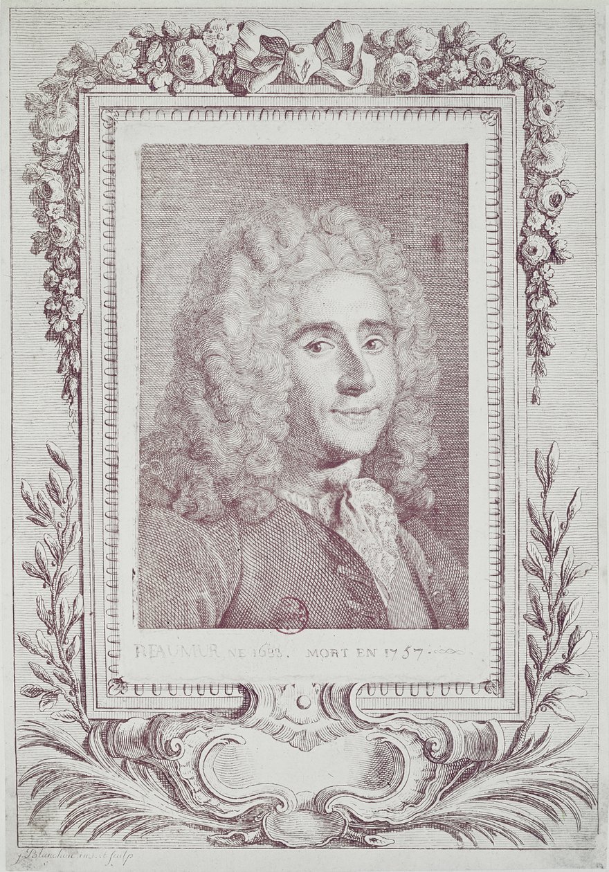 رينيه أنطوان فركولت دي ريومور (1683-1757) بواسطة جان غيوم بلانشون