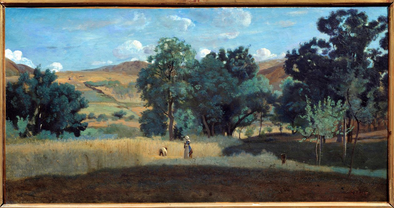 حقل قمح في مورفان عام 1842 رسمه كاميل كورو (1796-1875) 1842 صن. 0،38x0،75 م ليون ، متحف الفنون الجميلة بواسطة جان بابتيست كميل كوروت