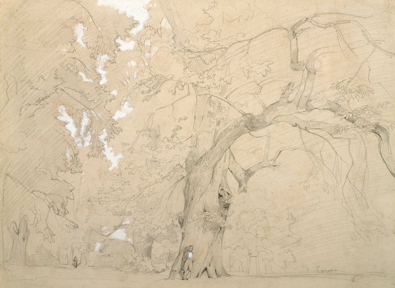 Young Man in Front of a Great Oak, c.1840 (pencil and gouache on paper) بواسطة جان بابتيست كميل كوروت