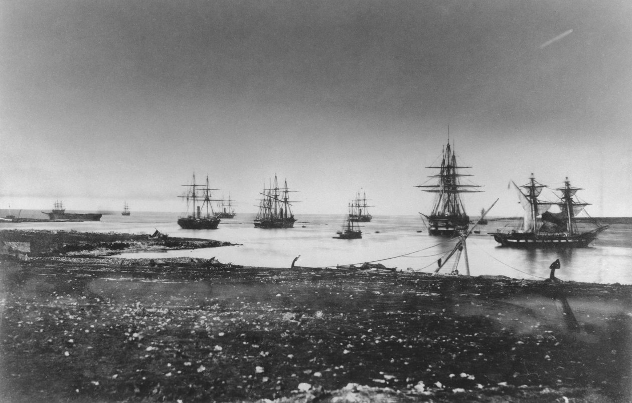 حرب القرم ، السرب الفرنسي ، دخول الميناء ، 1855 بواسطة جان بابتيست هنري دوراند براجر