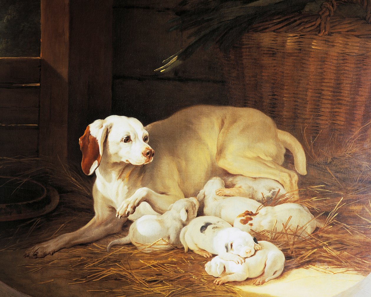 Bitch nursing puppies, detail from Lise et ses petits, by Jean-Baptiste Oudry (1686-1755), France بواسطة جان بابتيست أودري