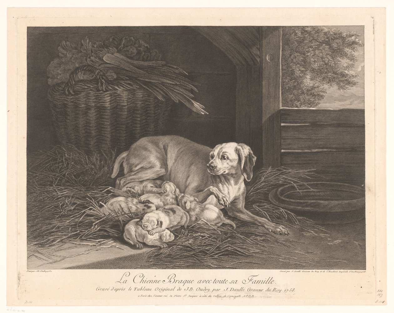 التقى Bracke-hond مع jongen في een stal The Braque Dog مع جميع أفراد عائلتها. (العنوان على الكائن) بواسطة جان دول
