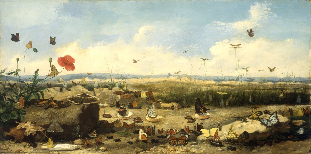 سباق الفراشات 1872 بواسطة جان يوجين دونيود
