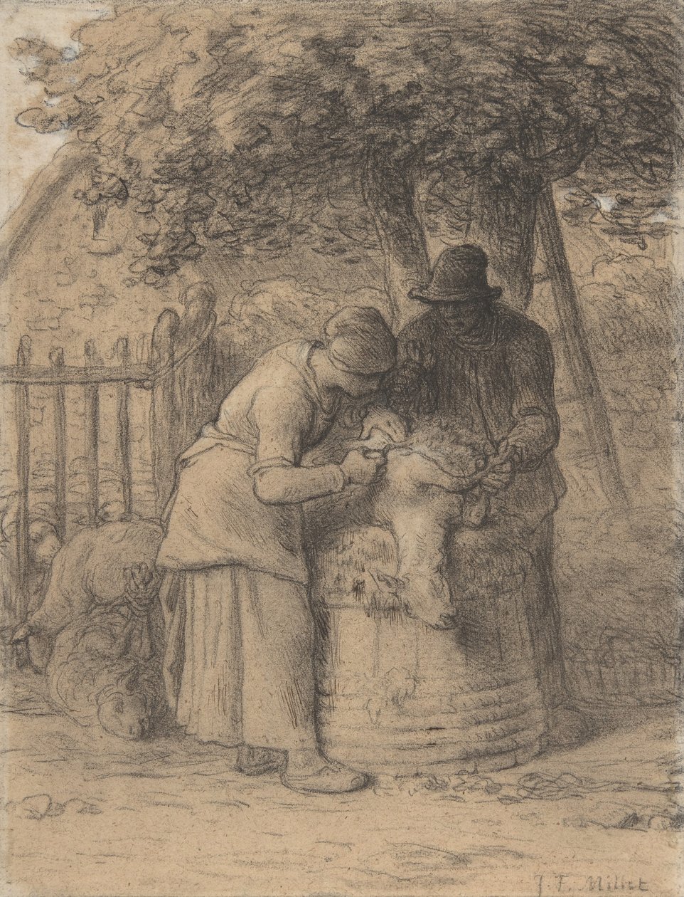 قص شعر تحت شجرة ، c.1854 (تلوين بالقلم والحبر البني والغواش على الورق) بواسطة جان فرانسوا ميلت