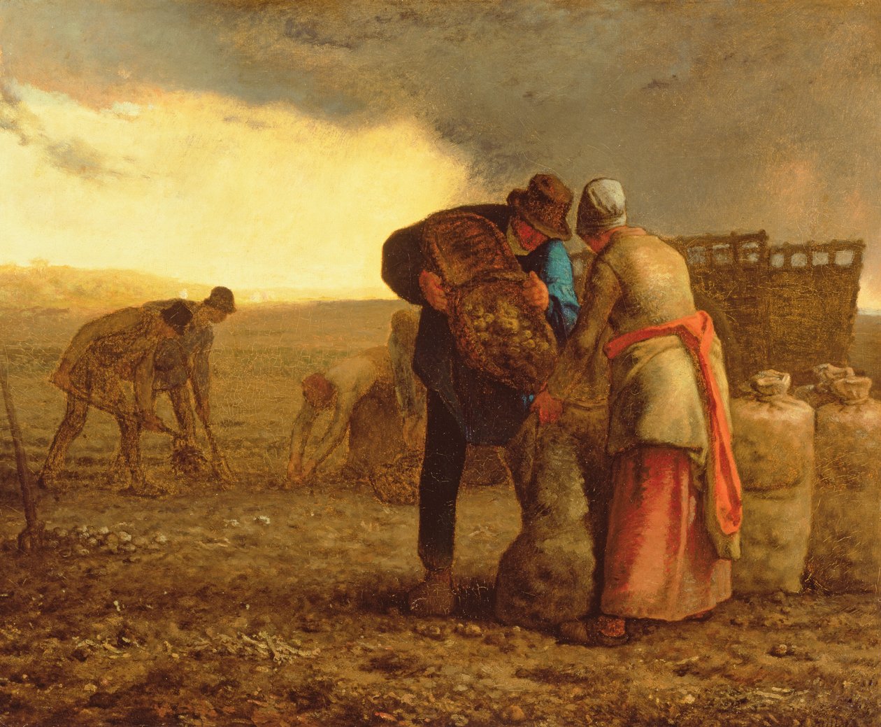 حصاد البطاطا ، 1855 بواسطة جان فرانسوا ميلت