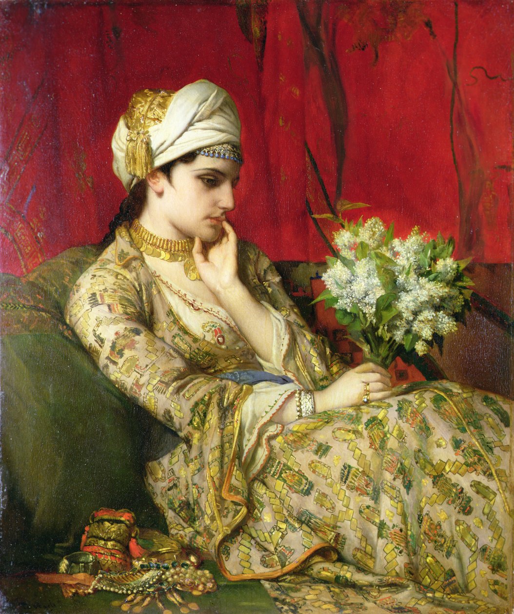 Odalisque (زيت على قماش موضوعة على اللوح) بواسطة جان فرانسوا بورتيلز