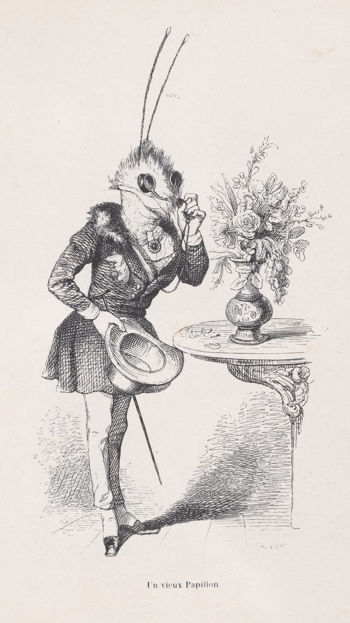 فراشة قديمة من مشاهد من الحياة الخاصة والعامة للحيوانات ، كاليفورنيا. 1837-47. بواسطة جان إغنايس إيسيدور جيرار