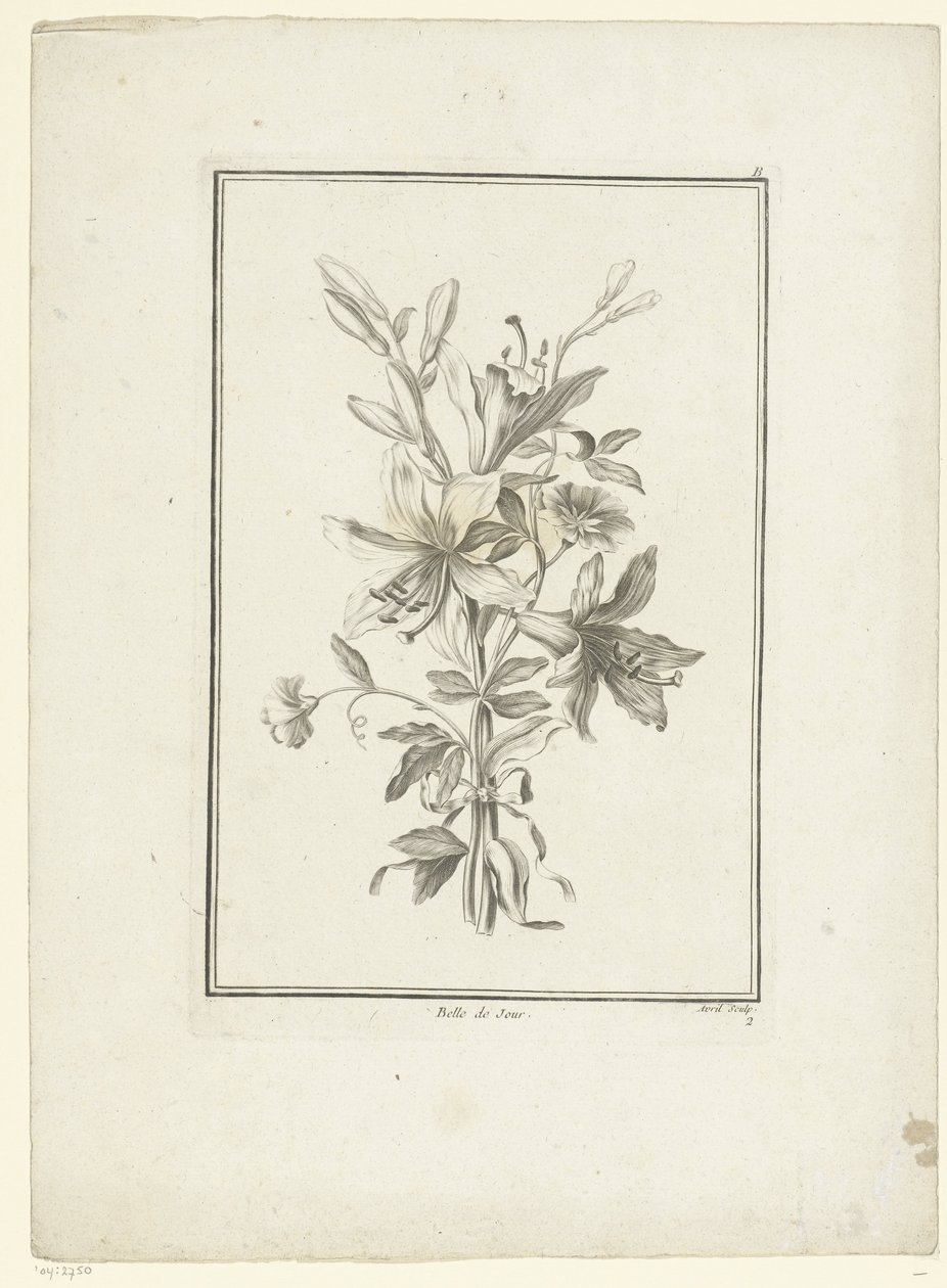 باقة زنبق بيل دي جور (العنوان على الكائن) IIe Cahier de Bouquets (عنوان السلسلة) بواسطة جان جاك أفريل (أنا)