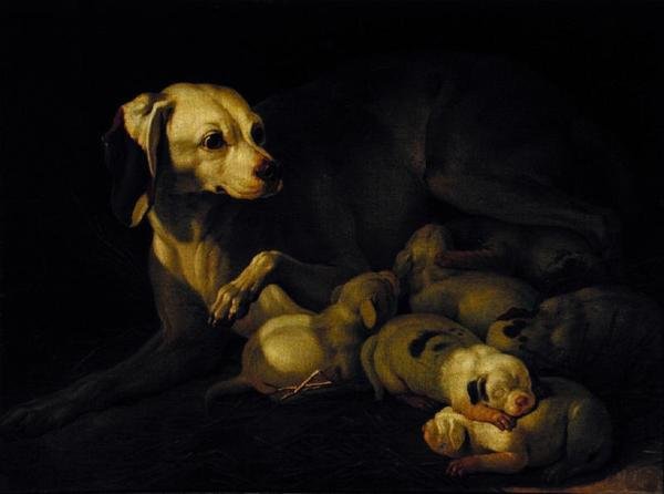 The Bitch Hound تمريض جرائها ، التفاصيل بعد نسخة أصلية كتبها جان بابتيست أودري ، 1755 بواسطة جان جاك باشيلير