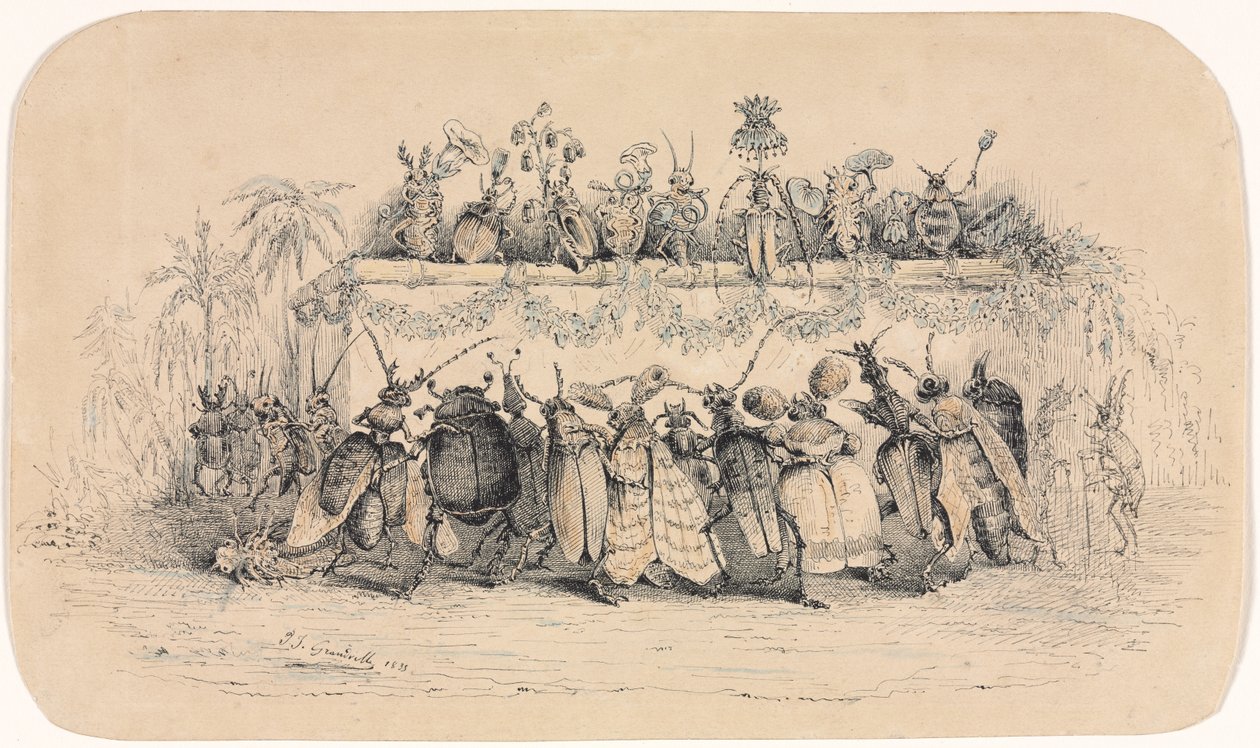 كرة حشرة ، 1835. بواسطة جان جاك جراندفيل