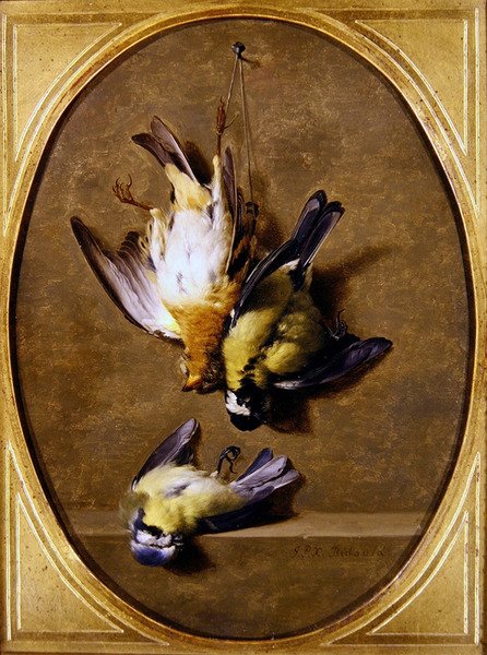 A Trompe l'Oeil of Dead Songbirds (زيت على لوح) بواسطة جان جوزيف كزافييه بيدولد