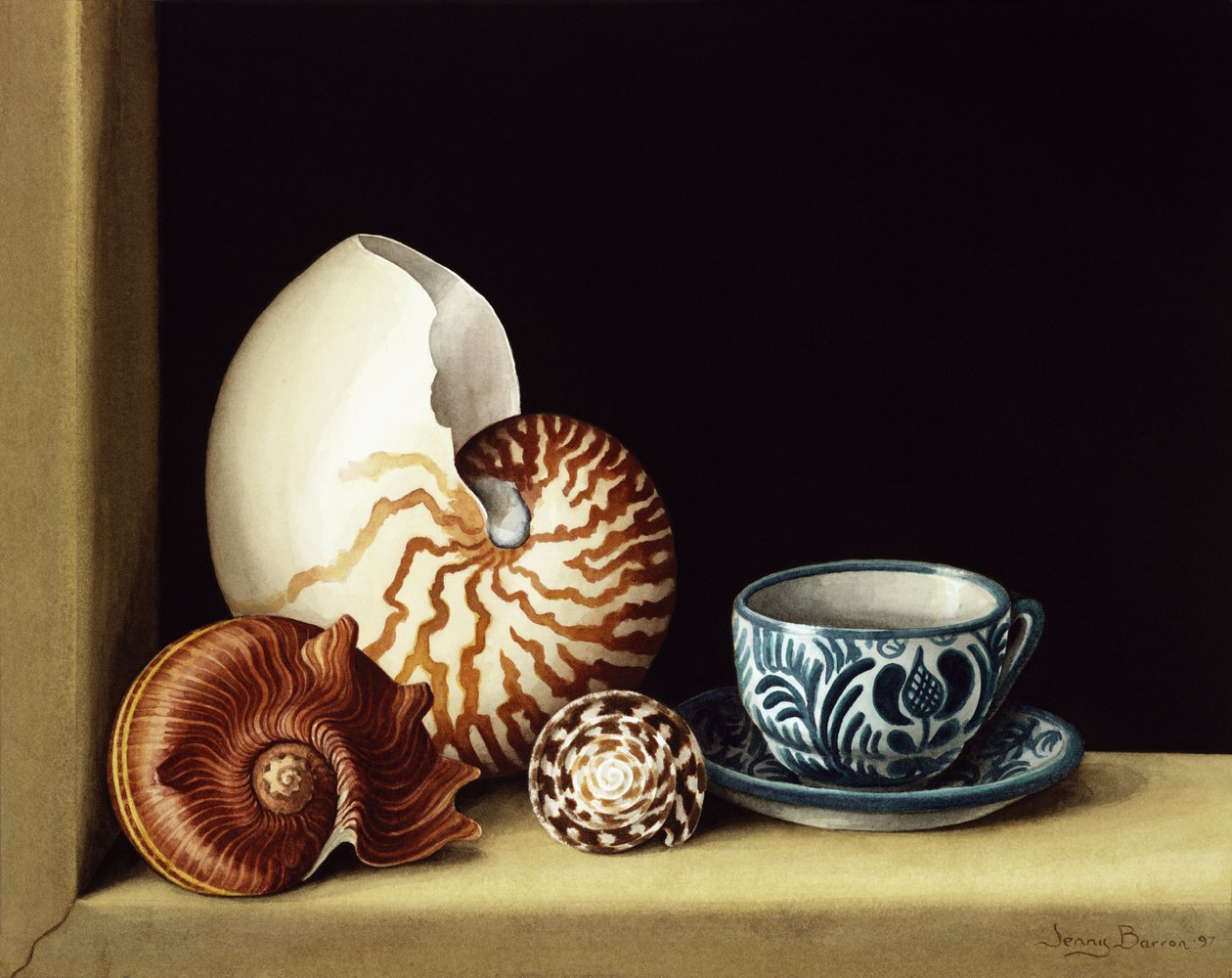 الحياة الساكنة مع Nautilus ، 1998 (مرحاض على ورق) بواسطة جيني بارون