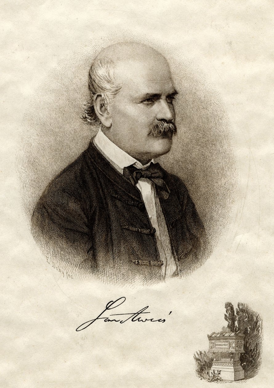 صورة لإيجناز فيليب سيميلويس 1818-1865 بواسطة جينو يوجين دوبي
