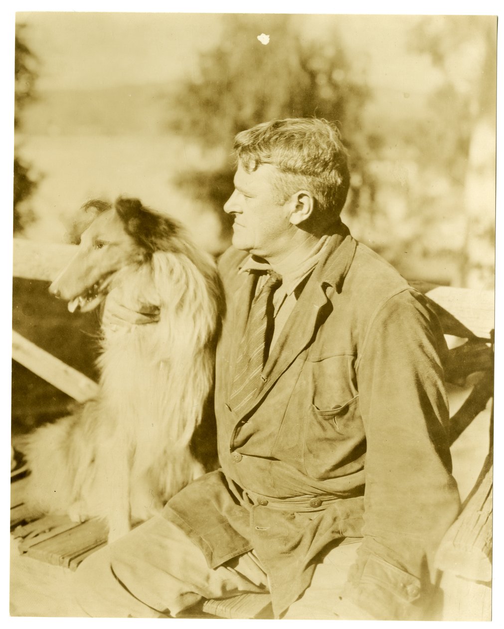 ألبرت بايسون ترهون ، كاتب ، حوالي 1916-28 (صورة فضية للجيلاتين) بواسطة جيسي تاربوكس بيلز