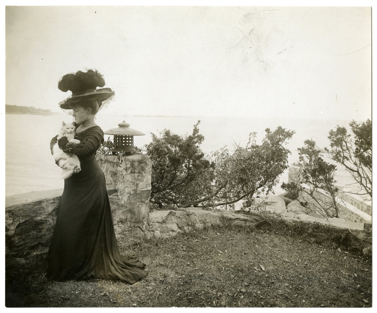Ella Wheeler Wilcox at Sound Beach، Conn، c.1905-11 (صورة فضية من الجيلاتين) بواسطة جيسي تاربوكس بيلز