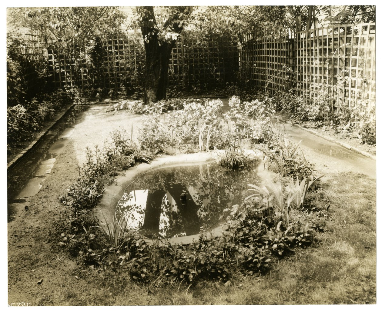 Garden of Mrs WH Wells 265 W 11th، Greenwich Village، New York، USA، c1936-37 (صورة فضية جيلاتينية) بواسطة جيسي تاربوكس بيلز