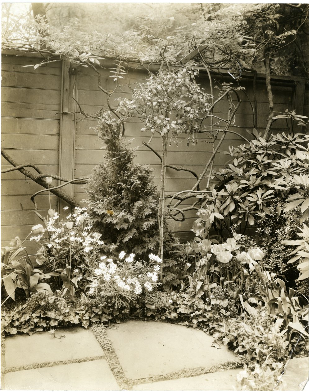 السيد والسيدة John Morgan ، 39 W 11 St ، Greenwich Village ، نيويورك ، الولايات المتحدة الأمريكية ، حوالي 1939-40 (صورة فضية من الجيلاتين) بواسطة جيسي تاربوكس بيلز