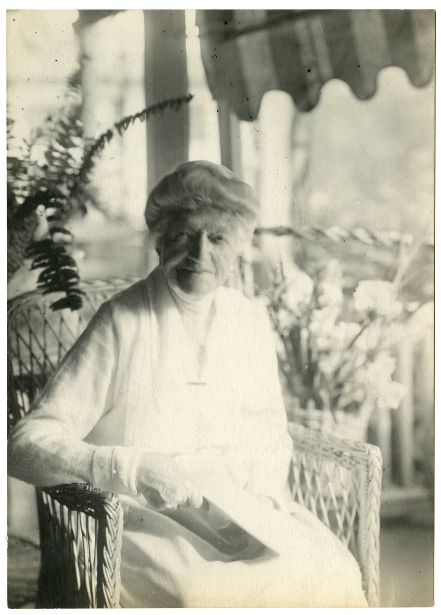 السيدة LD James من Williamsburg Massachusetts ، أخت مارشال فيلد ، c.1905-28 (صورة فضية الجيلاتين) بواسطة جيسي تاربوكس بيلز