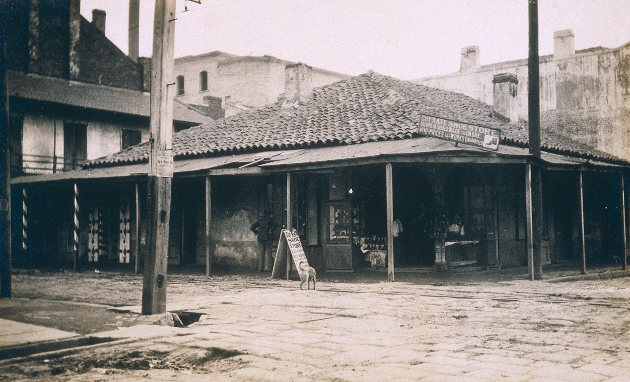 نيو أورليانز ، c.1905 بواسطة جيسي تاربوكس بيلز