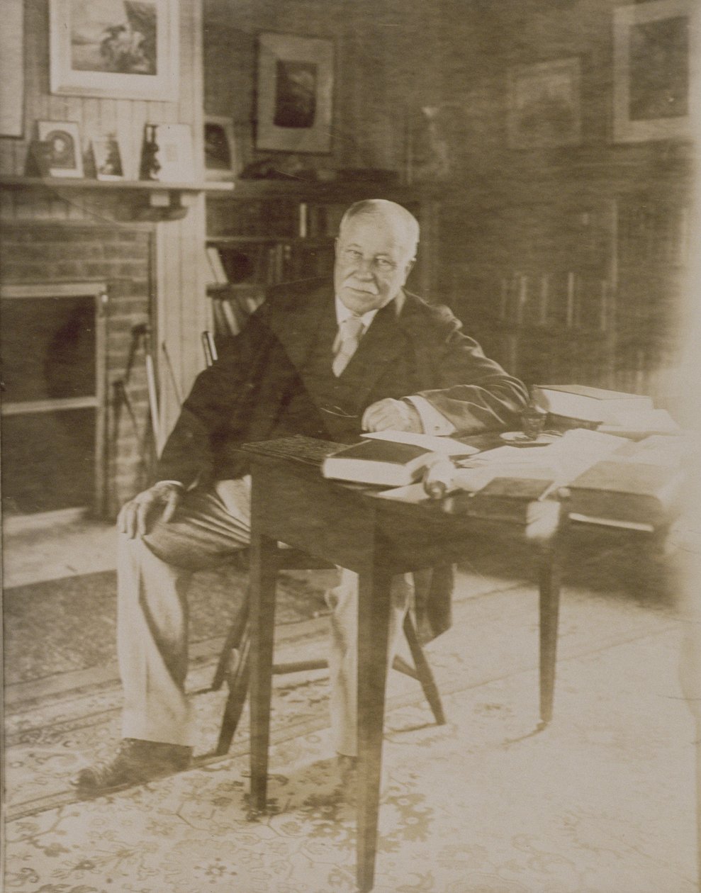 صورة ويليام دين هاولز (1837-1920) 1918-20 بواسطة جيسي تاربوكس بيلز