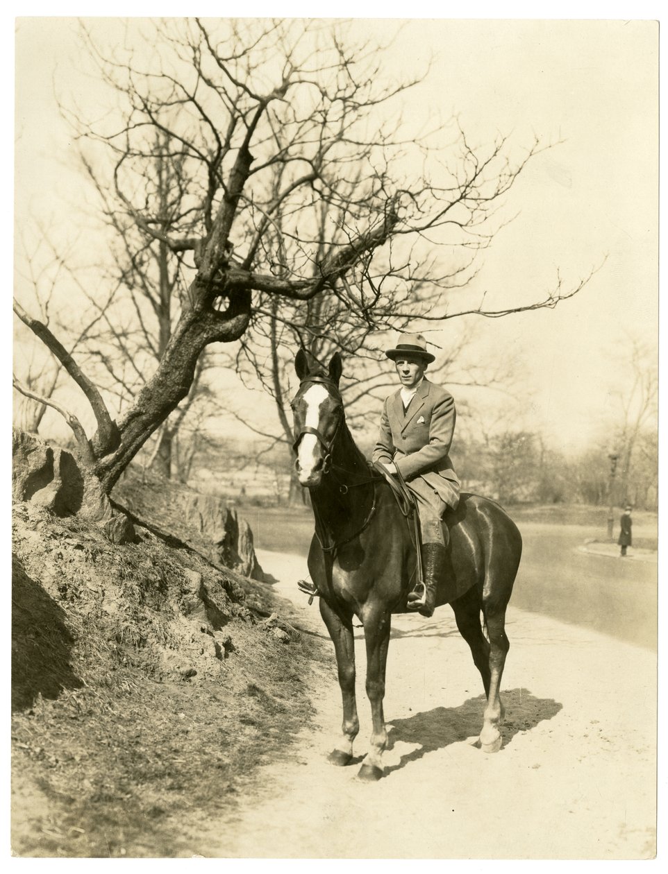 Roland Young ، c.1905-27 (صورة فضية جيلاتينية) بواسطة جيسي تاربوكس بيلز