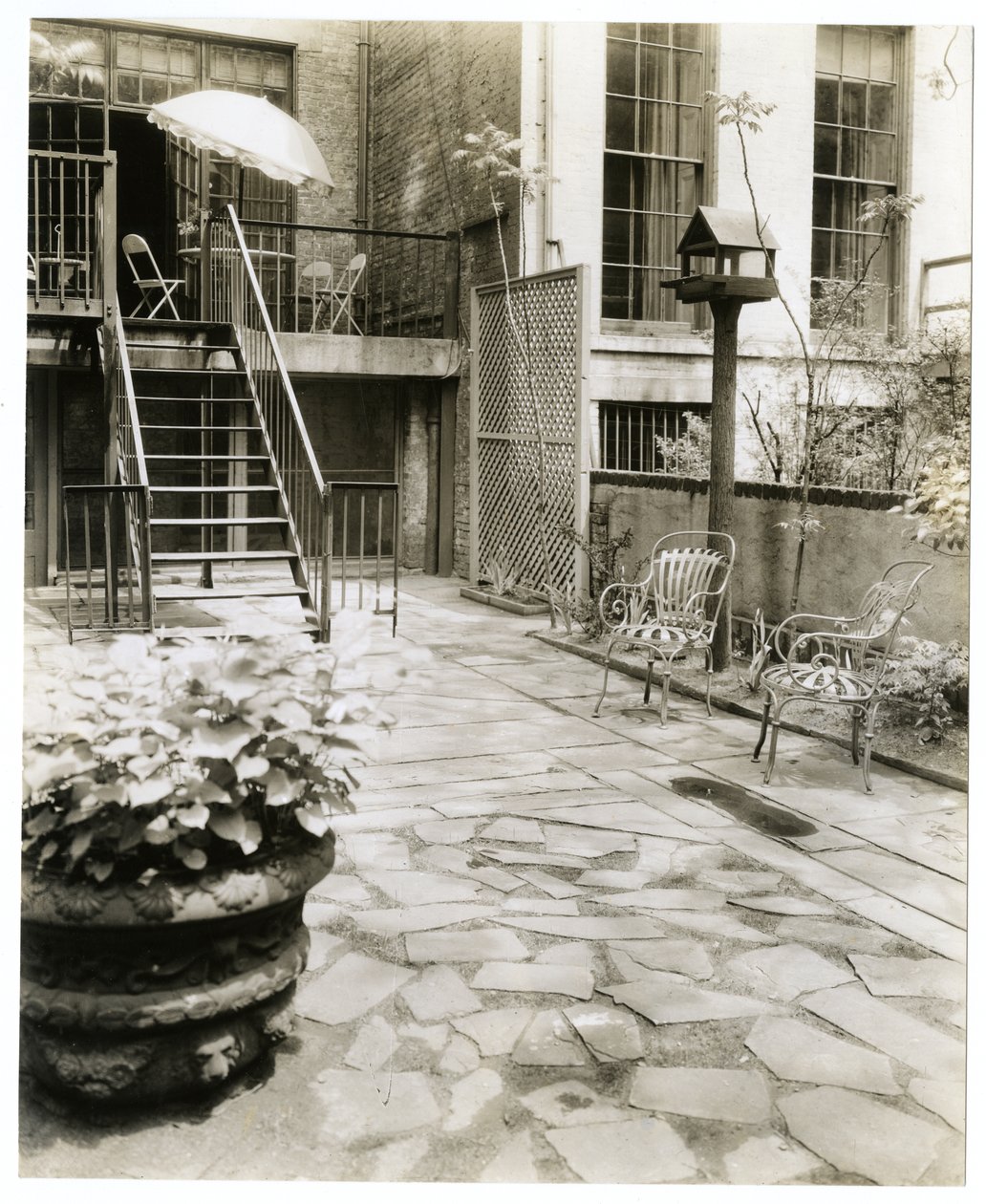 الفناء الخلفي مع بيت الطيور ، نيويورك ، الولايات المتحدة الأمريكية ، حوالي 1905-40 (صورة فضية من الجيلاتين) بواسطة جيسي تاربوكس بيلز