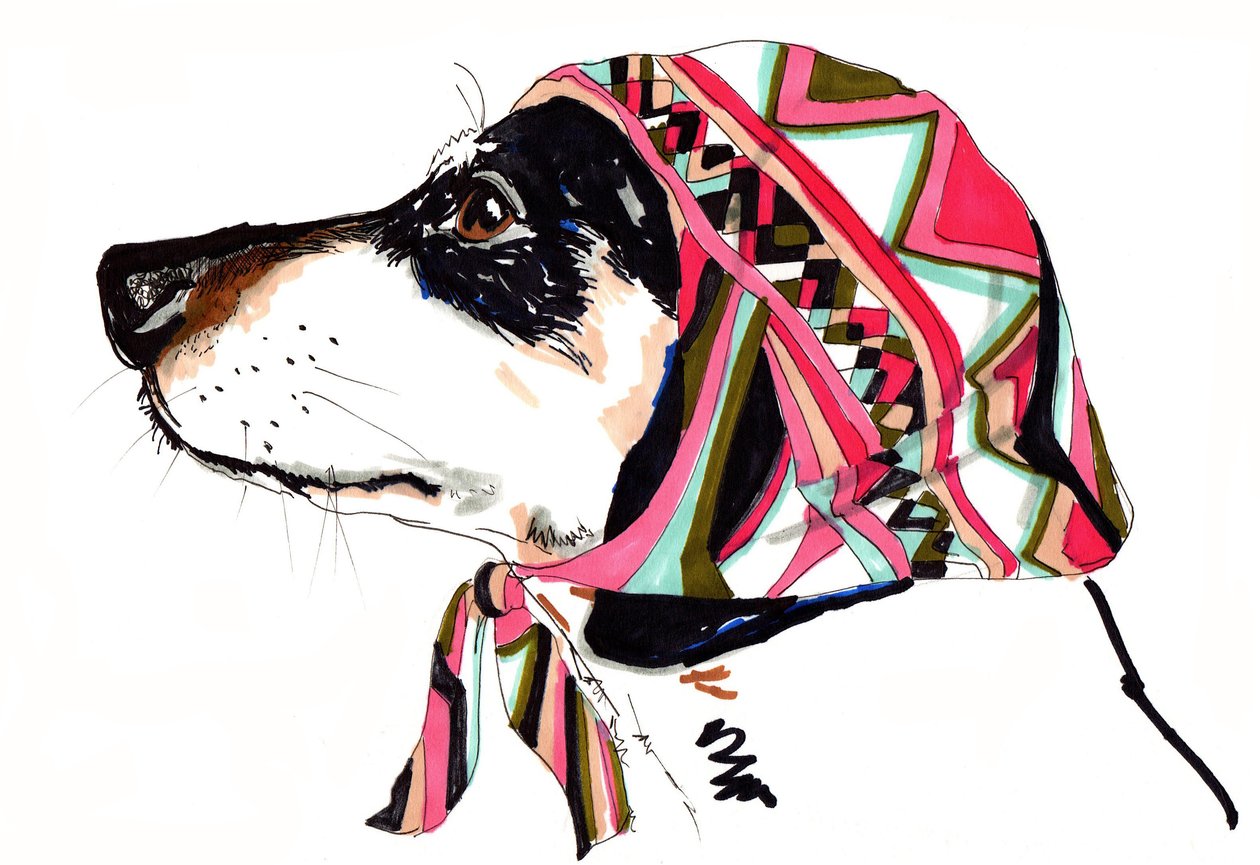 Pooch In Pucci ، 2012 (قلم وحبر على ورق) بواسطة جو تشامبرز