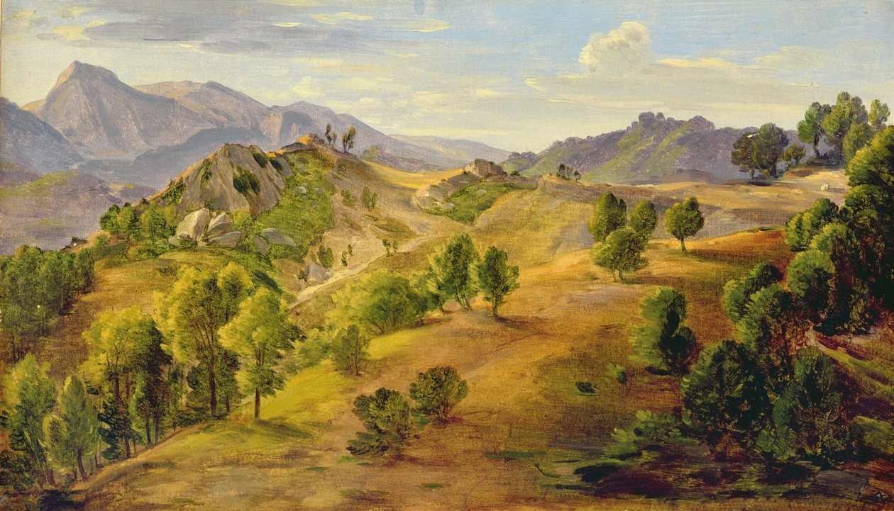 الثعبان في Olevano ، c.1824 (زيت على ورق موضوعة على متن) بواسطة يواكيم فابر