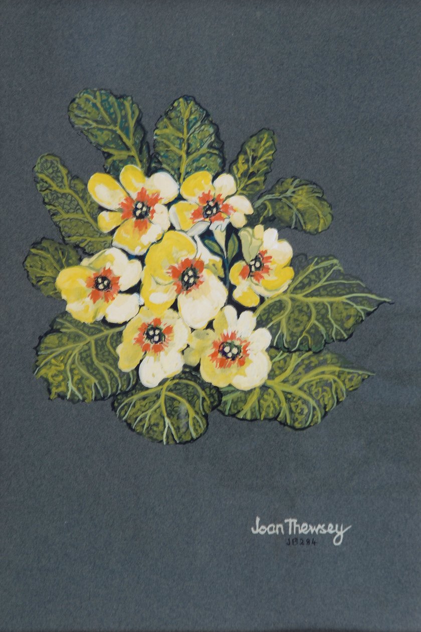 The Yellow Primrose 2012 (الغواش على الورق) بواسطة جوان ثيسي