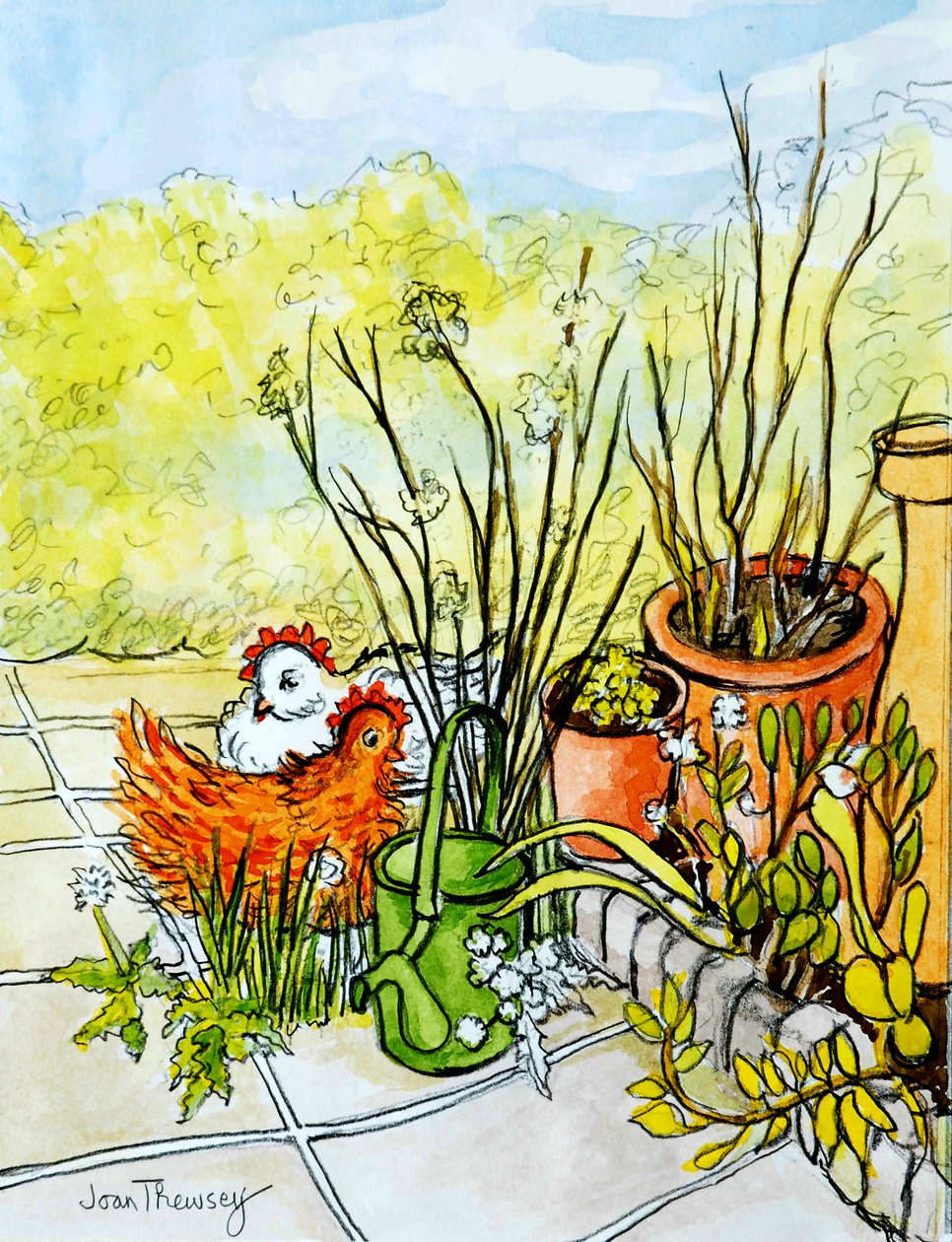 Hens and Pots، Lucy Redman Open Garden، 2000، (قلم رصاص بغسل مائي) بواسطة جوان ثيسي