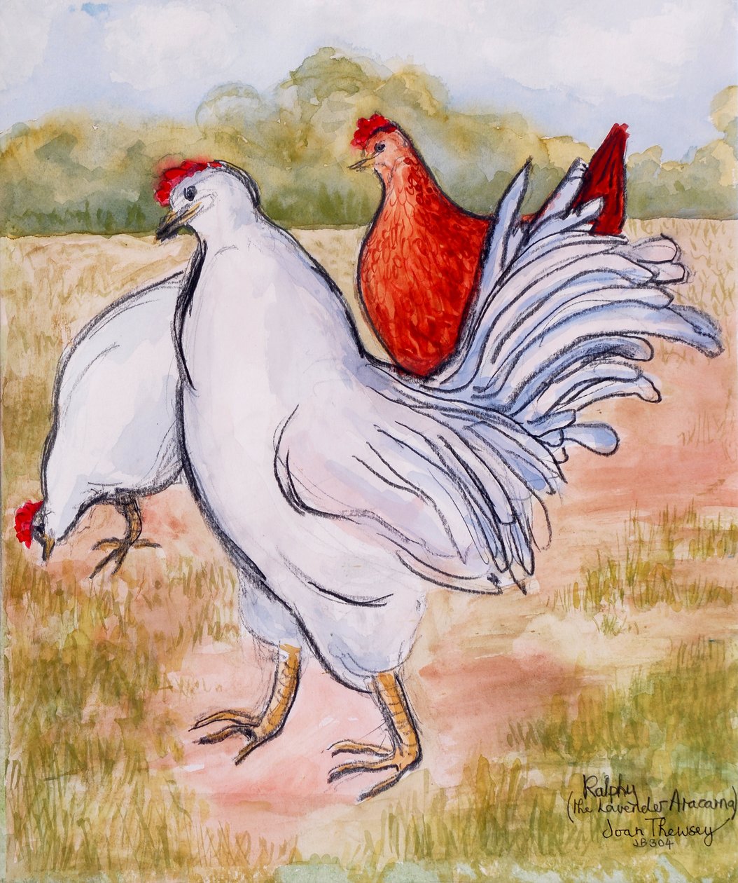 رالفي ، The Cockerel ، 2005 ، (قلم رصاص ولون مائي) بواسطة جوان ثيسي