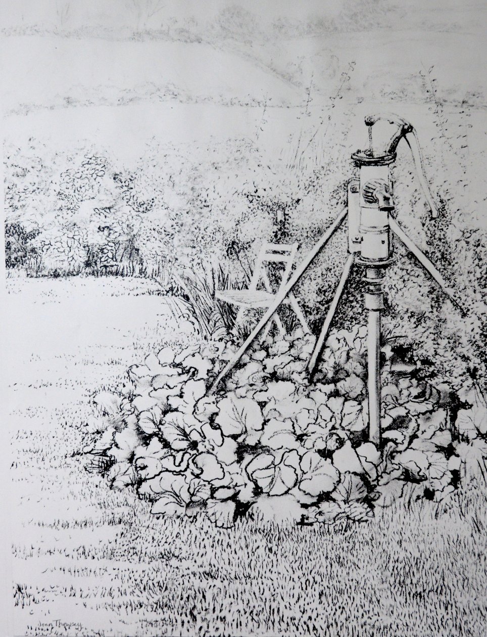 The Garden Pump، 1973 (فحم نباتي) بواسطة جوان ثيسي