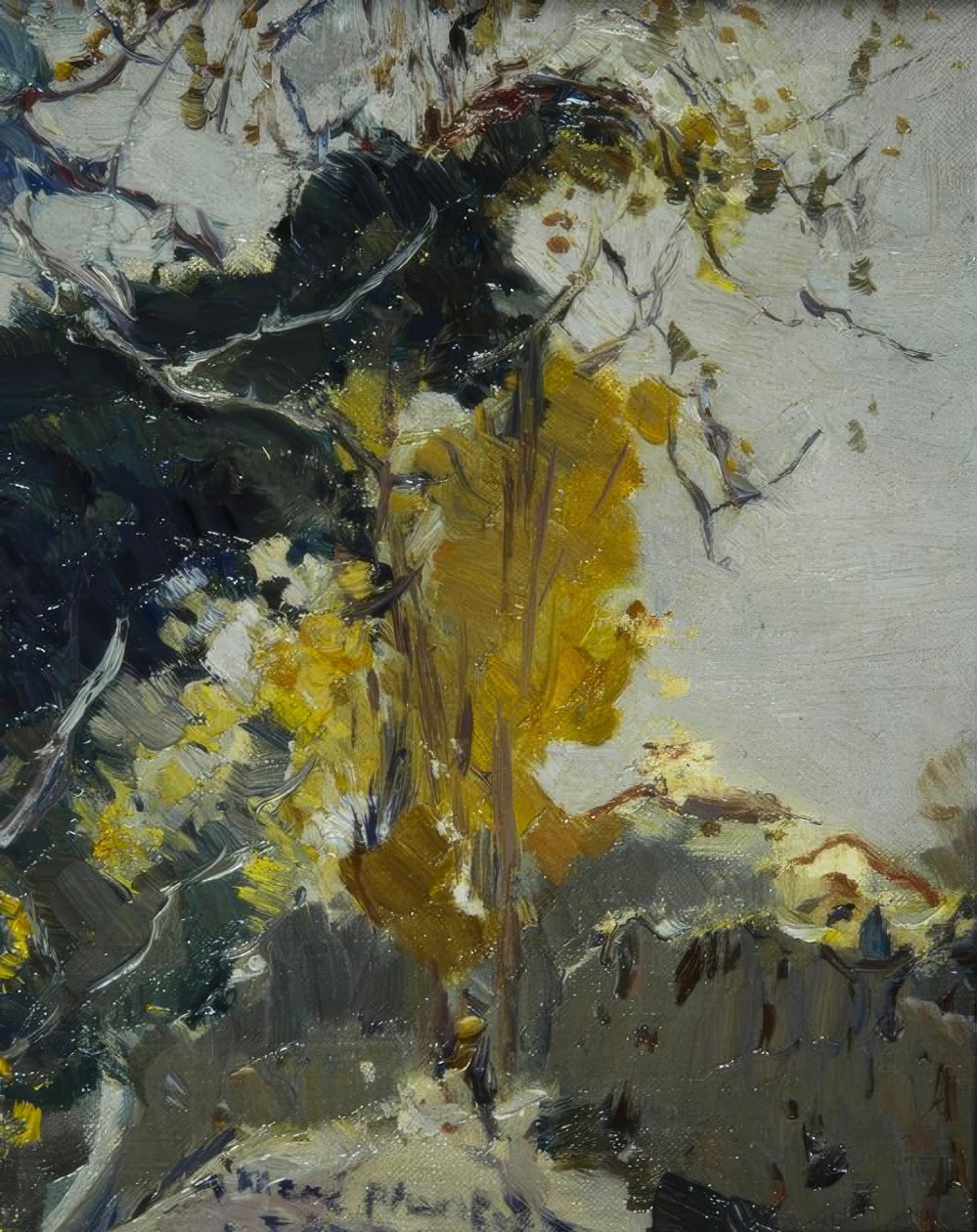 بوم بواسطة Joaquim Mir i Trinxet