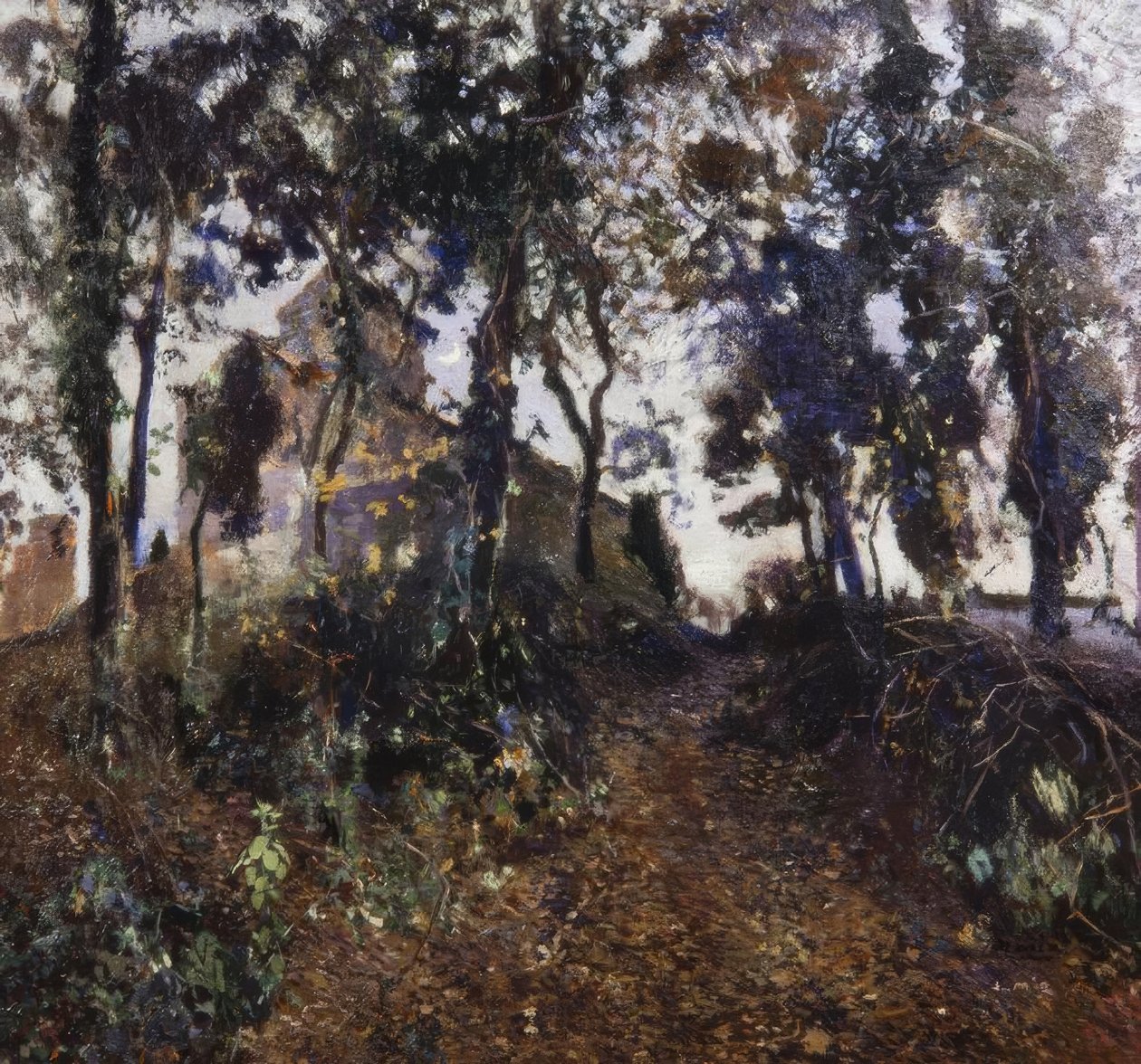 حديقة بواسطة Joaquim Mir i Trinxet