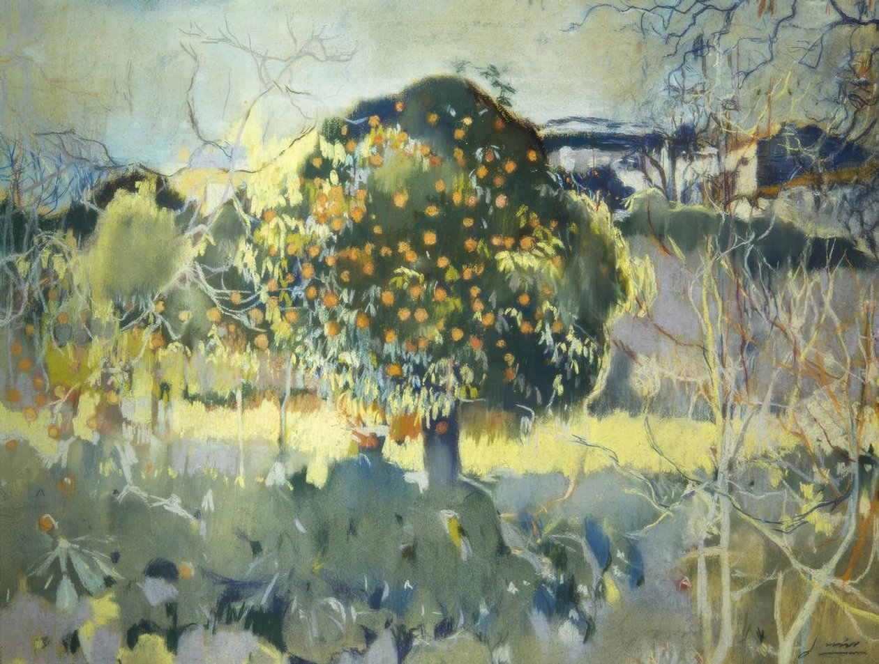 المناظر الطبيعيه بواسطة Joaquim Mir i Trinxet