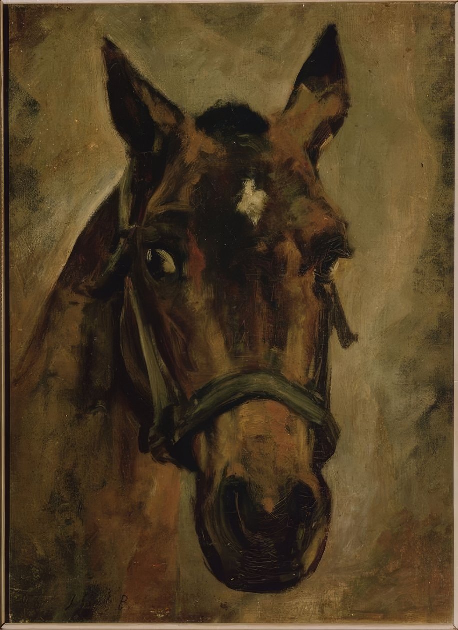 كابيزا دي كابالو. الفنان: JOAQUIN SOROLLA. الموقع: مجموعة خاصة ، مدريد ، إسبانيا بواسطة خواكين سورولا