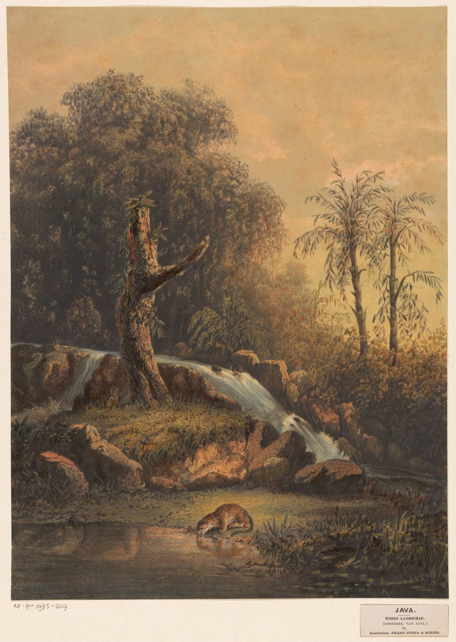 منظر طبيعي مع شلال وشرب نمر المناظر الطبيعية البرية (الركن الشرقي لجافا) (العنوان على الكائن) بواسطة يوهان كونراد جريف